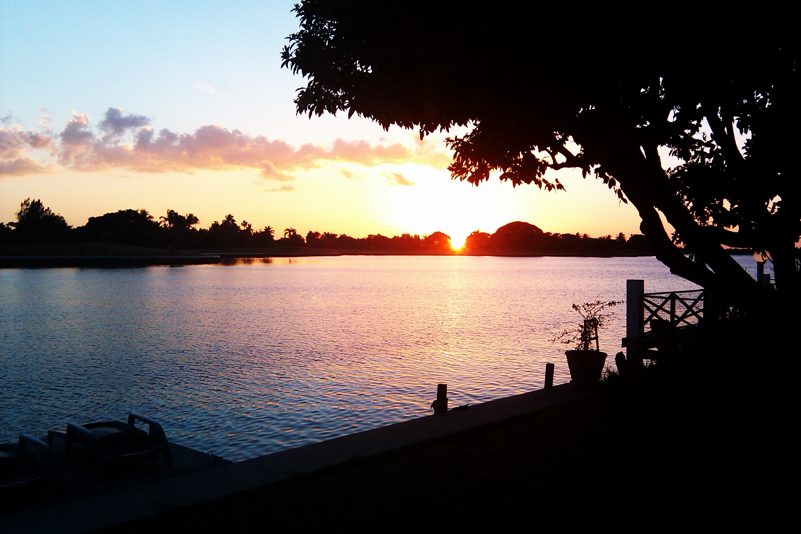 Freelance photography