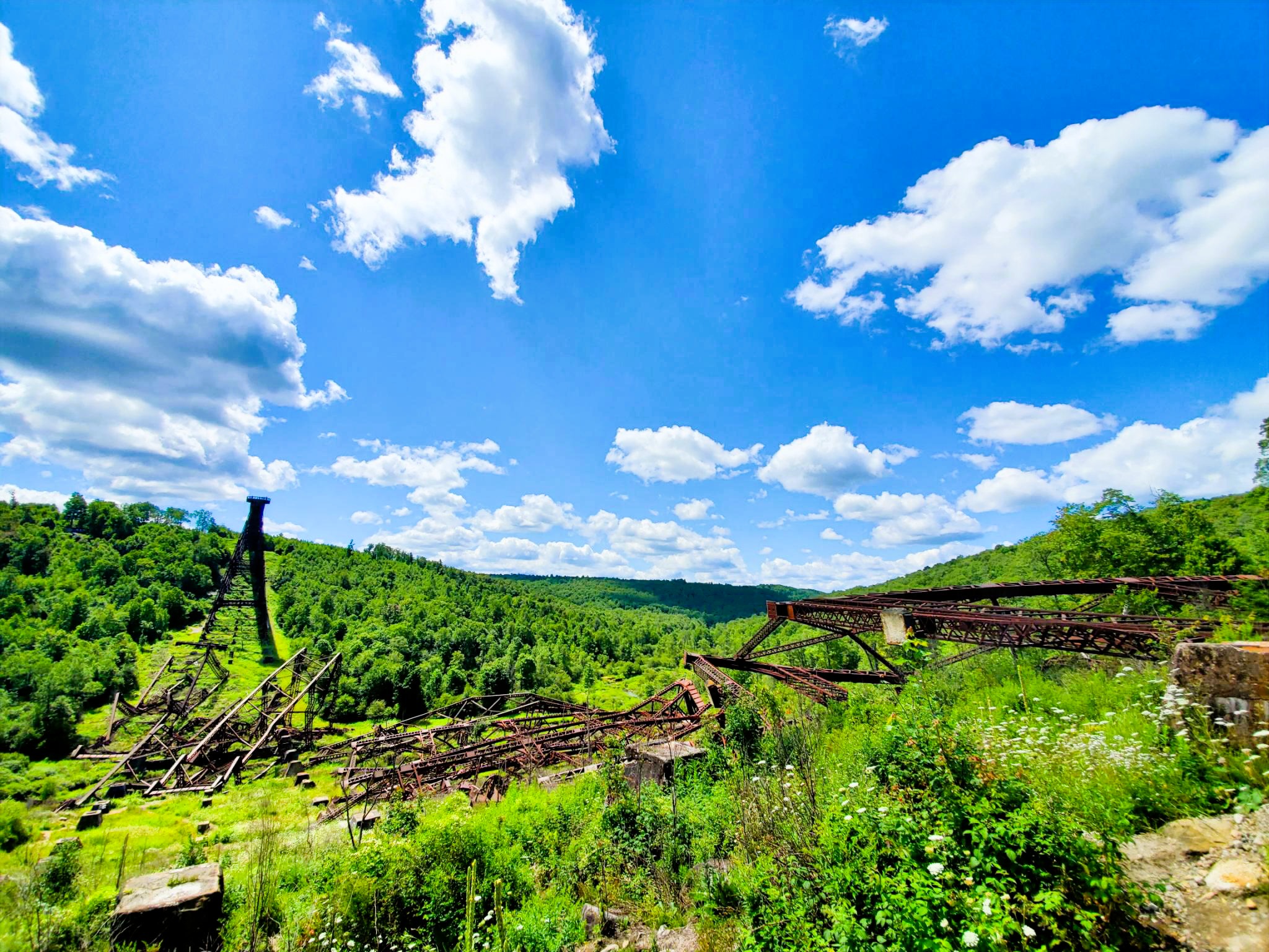 Freelance photography